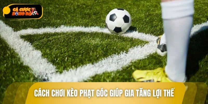 Cách chơi kèo phạt góc giúp gia tăng lợi thế