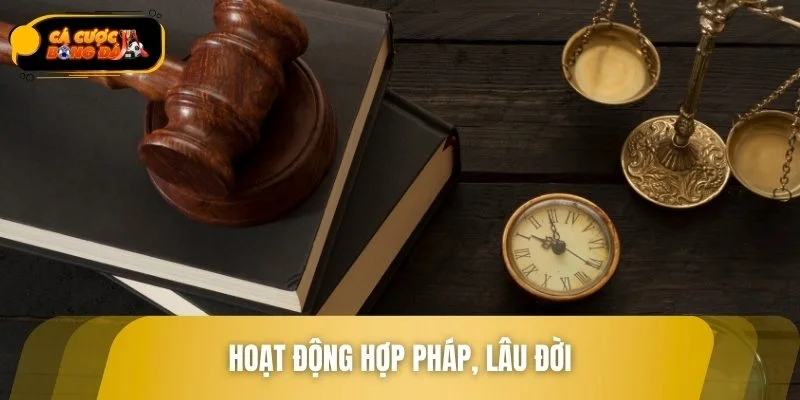 Giấy phép kinh doanh quốc tế bảo chứng cho sự uy tín